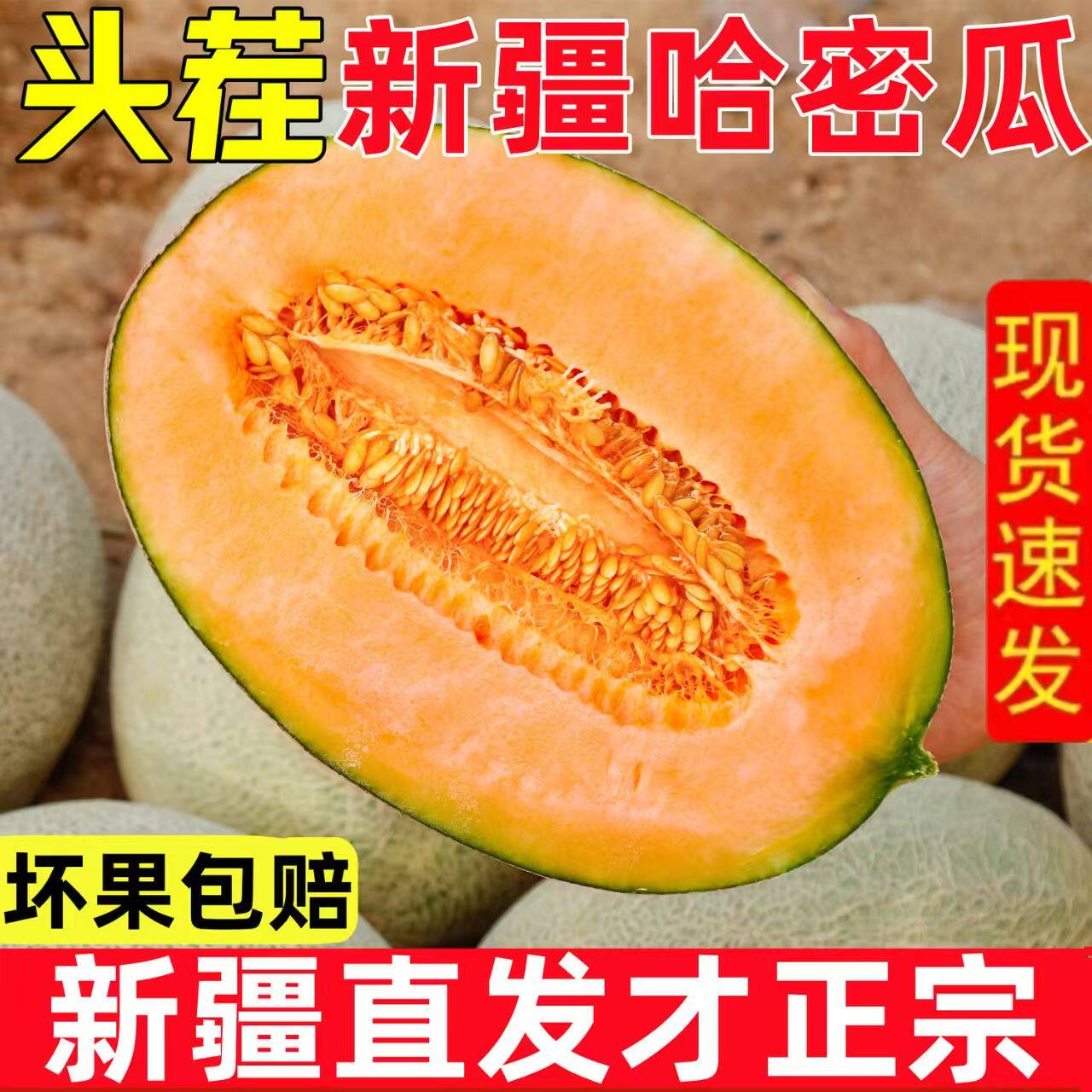正宗新疆吐鲁番哈密瓜西州蜜25号哈新疆密瓜蜜瓜新鲜应季水果整箱