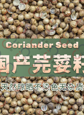 包邮芫荽籽啤酒增香优质原材料