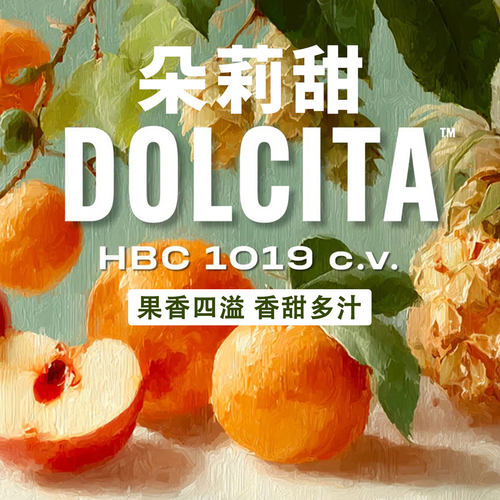 朵莉甜HBC1019酒花甜果香