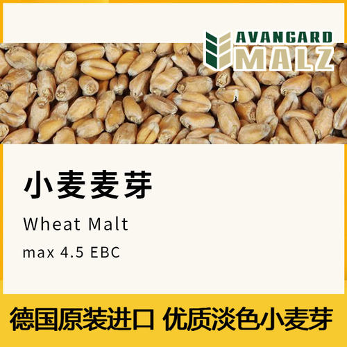 淡色小麦芽2026德国新货Avangard