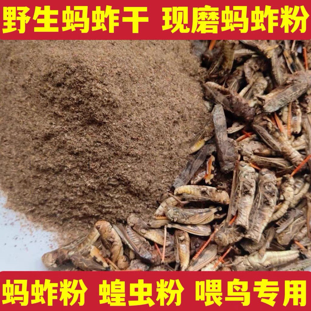 纯蚂蚱粉 蚕蛹粉 五谷虫粉 蚱蜢粉蝗虫粉画眉鸟食超细现磨粉包邮
