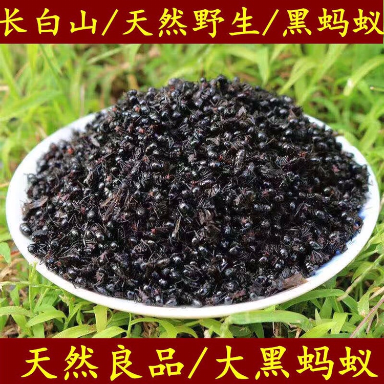 蚂蚁中药材长白山黑蚂蚁250g