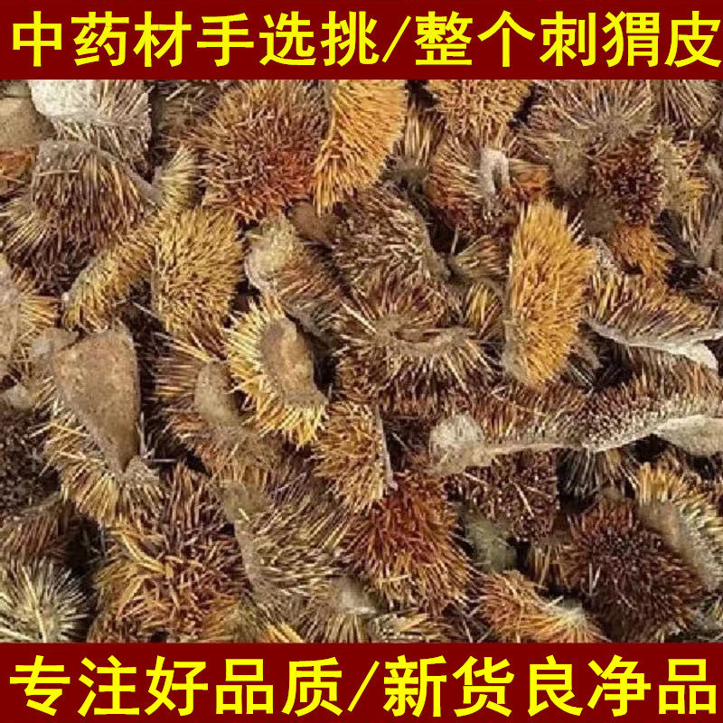 中药材刺猬皮正品新货250g另售炒制刺猬皮熟炙刺猬皮