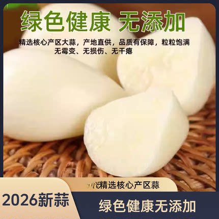 2026新蒜手工剥皮新鲜餐饮蒜米5斤去皮大蒜金乡大蒜米食用蒜蓉酱