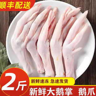 新鲜大鹅掌新鲜鹅脚鹅肉大鹅整只冰鲜冷冻带骨鹅爪子商用批发食材