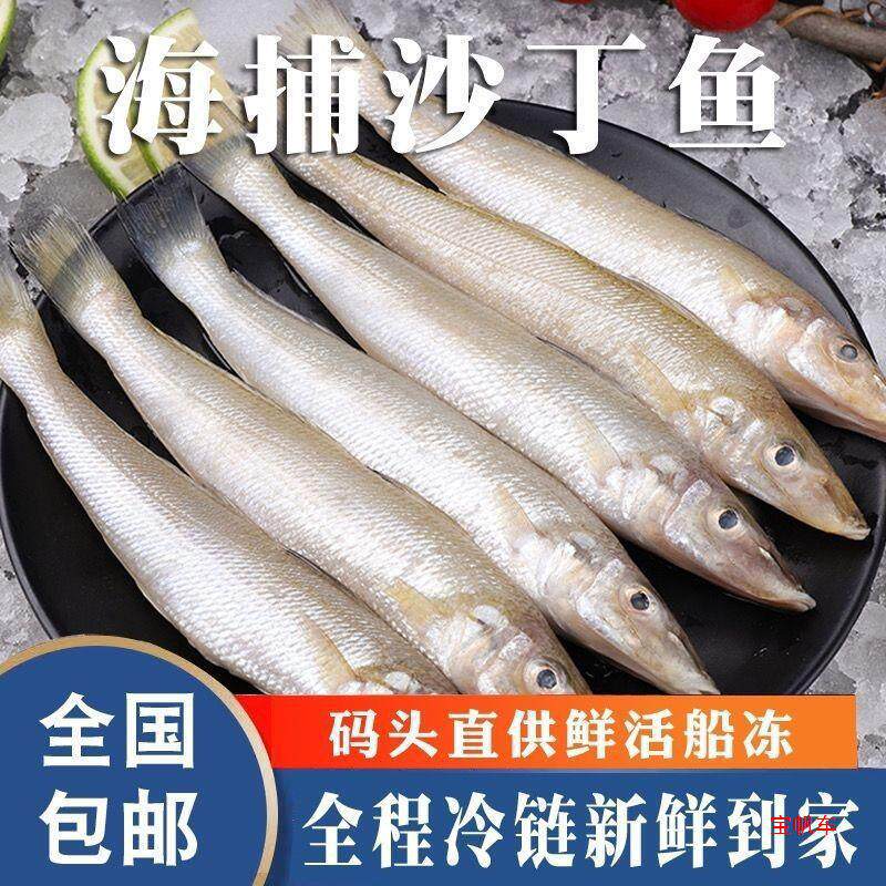 新鲜沙丁鱼鲜鱼冷冻沙尖鱼真空速淡水鱼类
