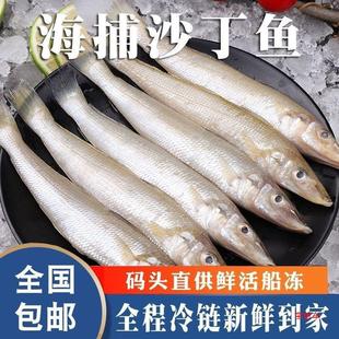 新鲜沙丁鱼鲜鱼冷冻沙尖鱼真空速冻冰鲜沙钻鱼小船海鲜