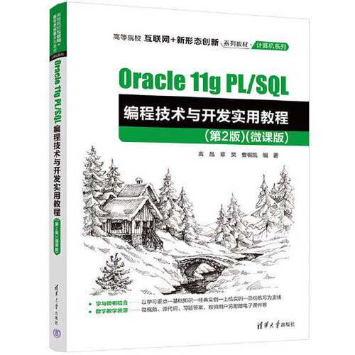 正版Oracle 11g PL/SQL编程技术与开发实用教程(第2版)(微课版)（高等院校互联网+新形态创新系列教材·计算机系列）SQL编程技术与