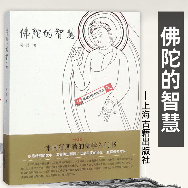 官方正版 佛陀的智慧 陈兵著 上海古籍出版社 内行所著的佛学入门书