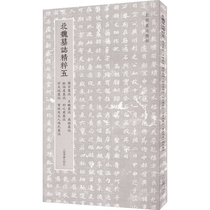 正版包邮//新书--北朝墓志精粹五：罗宗墓志·王曦墓志·高猛墓志·殷伯姜墓志·封之秉墓志·宇文悦墓志·贺收及夫人侯氏墓志