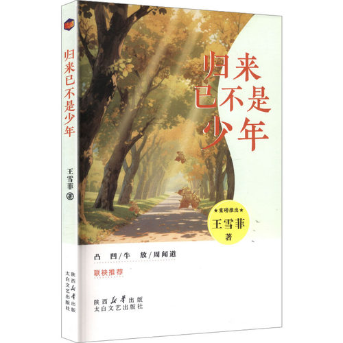 正版包邮//归来已不是少年
