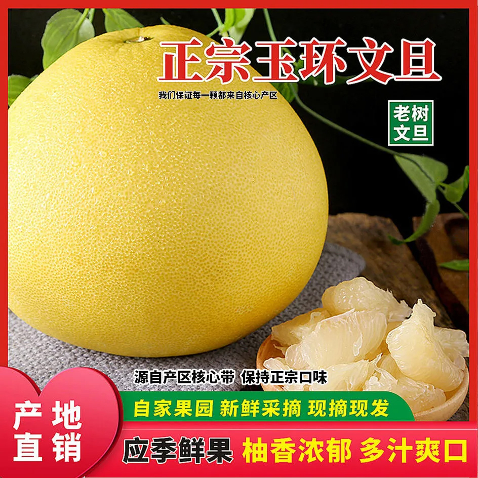【果园直发】玉环文旦正宗台州楚门当季新鲜现摘玉环文旦柚子蜜柚