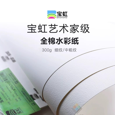 宝虹水彩纸艺术家级美术生专用纸32K8K300g中粗细纹棉浆水彩画纸