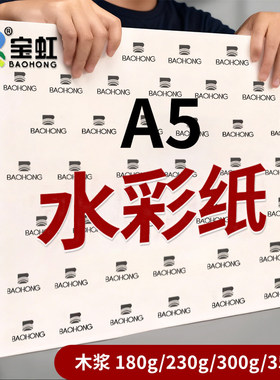 宝虹水彩纸300gA5水彩纸木浆专业水彩画纸350g细粗纹水彩纸油画棒