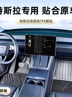DM注塑TPE特斯拉脚垫model3脚垫modely/yl脚垫25款脚垫地毯焕新版