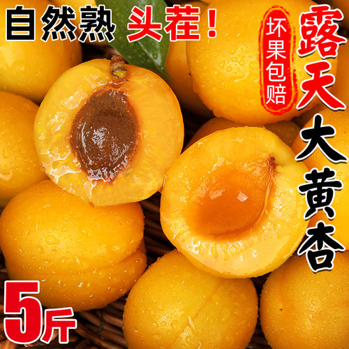 陕西大黄杏金太阳5斤应当季孕妇酸杏包邮青杏子甜杏新鲜水果整箱3