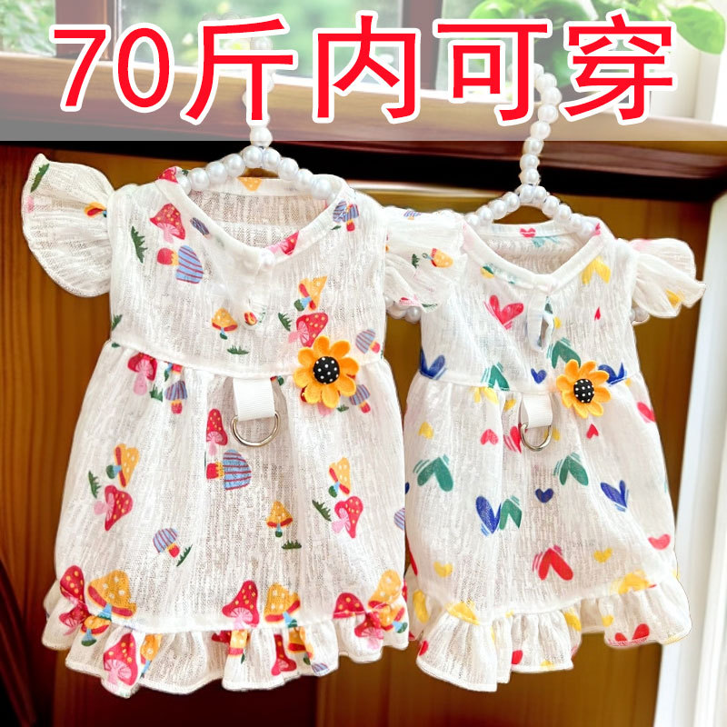 宠物猫可牵引外出爱心夏季连衣裙子狗狗猫咪用品柯基狗衣服服饰