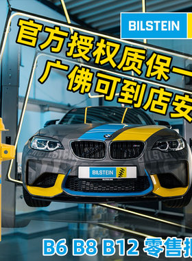 进口宝马B12奔驰B16奥迪B8倍斯适登BilsteinB6改装绞牙减避震器