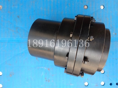 齿式联轴器GIICLWEFT