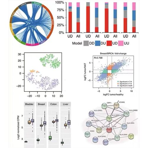 scRNA-seq单细胞测序R语言代码+零基础影片教程,自学网原版教程
