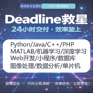 python代编****asp.net机器学习javaC PHPWeb开发单片机开发定制