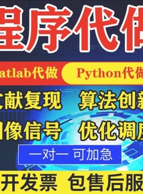matlab代码帮做代编程序代做python覆现算法彷真编写图像信号处理