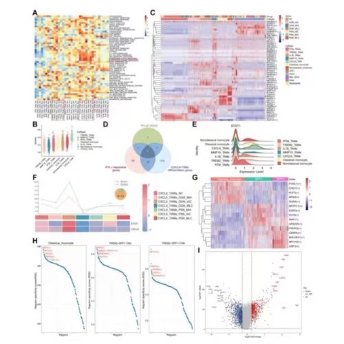 NHANES代码单细胞测序GBD数据分析TCGA指导生物转录组GEO生信分析