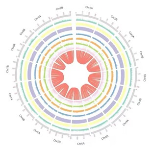 蛋白质3D结构预测/AlphaFold2&3服务/相互作用预测