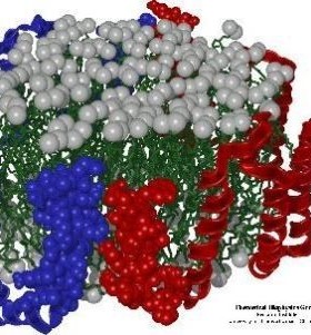 NAMD 分子动力学模拟软件 安装 支持GPU加速 Linux/mac/windows