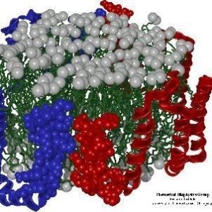 分子动力学模拟软件 mac 安装 Linux windows 支持GPU加速 NAMD