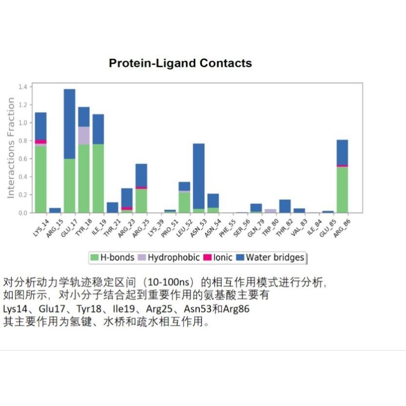 分子动力学模拟/分子动力学计算/分子动力学服务(蛋白-蛋白/蛋白