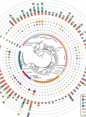 CLIP-seq RBP结合 RNA结合蛋白 调控命运 稳定性 翻译 多层次