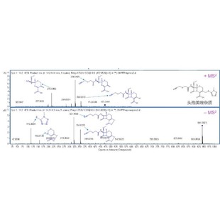 LCMS检测 液相质谱分析检测 药物杂质降解产物中药代谢物代谢组学
