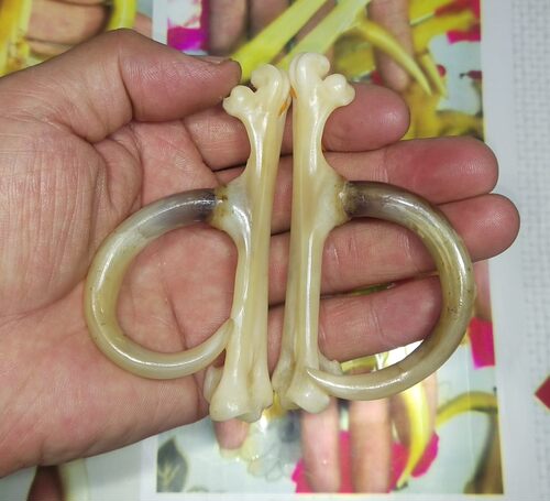 文玩鸡爪骨把件纯天然老鸡拐子全手工制作老公鸡蹬子文玩新宠