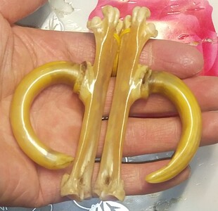 文玩鸡爪骨把件鸡蹬子手工制作传统骨玩抓钱手老鸡拐子盘玩骨艺