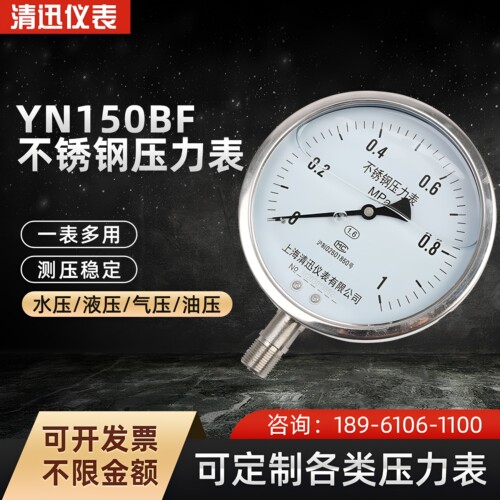 不锈钢耐温耐震压力表YN150BF