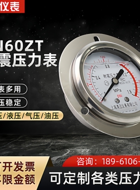 YN60ZT轴向带边耐震压力表0-1.6/2.5/40Mpa水压油压气压液压