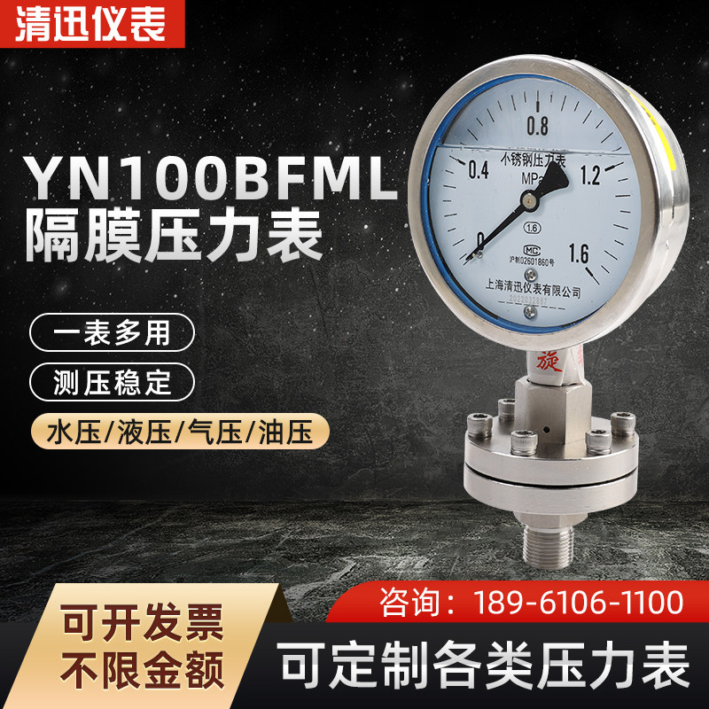不锈钢隔膜压力表YN100BFML耐震