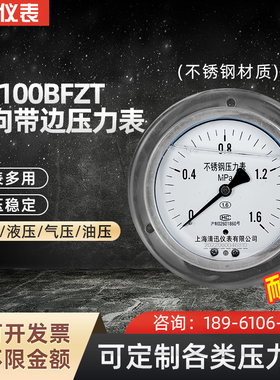 全不锈钢耐震型压力表YN100BFZT整体304耐温耐腐蚀轴向带边面板式