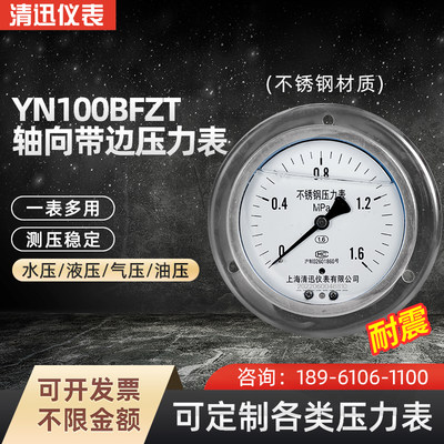 全不锈钢耐震型压力表YN100BFZT整体304耐温耐腐蚀轴向带边面板式