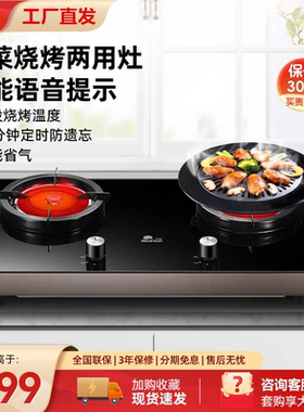 红日红外线燃气灶煤气灶天然气液化气灶台式猛火定时双灶 ES009B