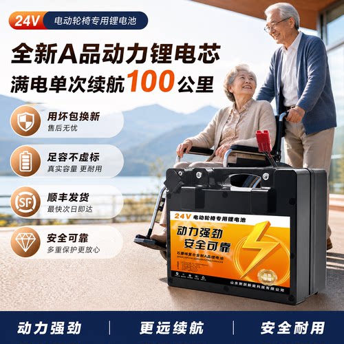 九圆英洛华24V电动轮椅专用电池