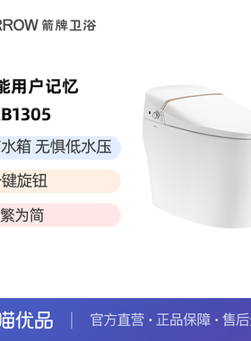 箭牌（ARROW)虹吸速热离座冲洗除臭烘干遥控器智能坐便器AKB1305