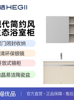 双开封闭开放式镜柜现代简约
