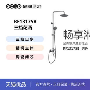 金牌卫浴GOLD淋浴全铜花洒套装沐浴花洒淋浴套装KA RF13175B