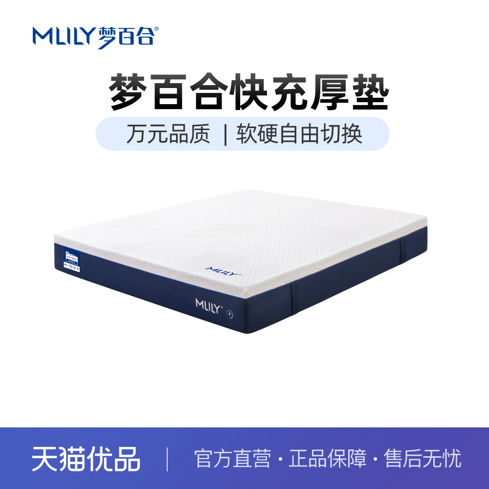护腰护脊记忆绵弹簧床垫梦百合