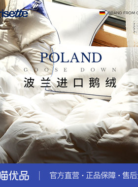 德国irisette波兰95白鹅绒被冬被保暖羽绒被子被芯全棉抗菌