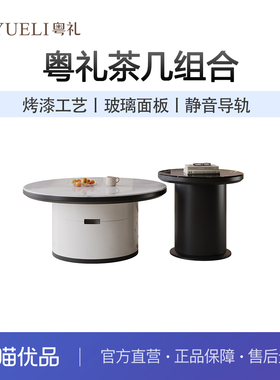 粤礼新款极茶创意茶几客厅创意方形茶几小户型家用高级YLSN39117