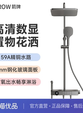 箭牌卫浴智能花洒灰色淋浴套装数显大置物家用全铜钢琴键沐浴喷头