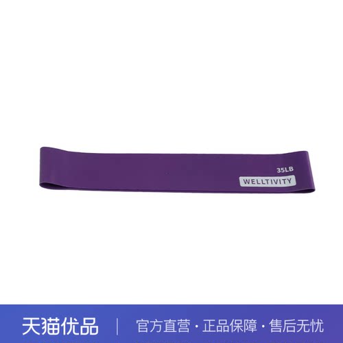 WELLTIVITY弹力带健身力量训练练臀神器 弹力圈35磅 罗兰紫色